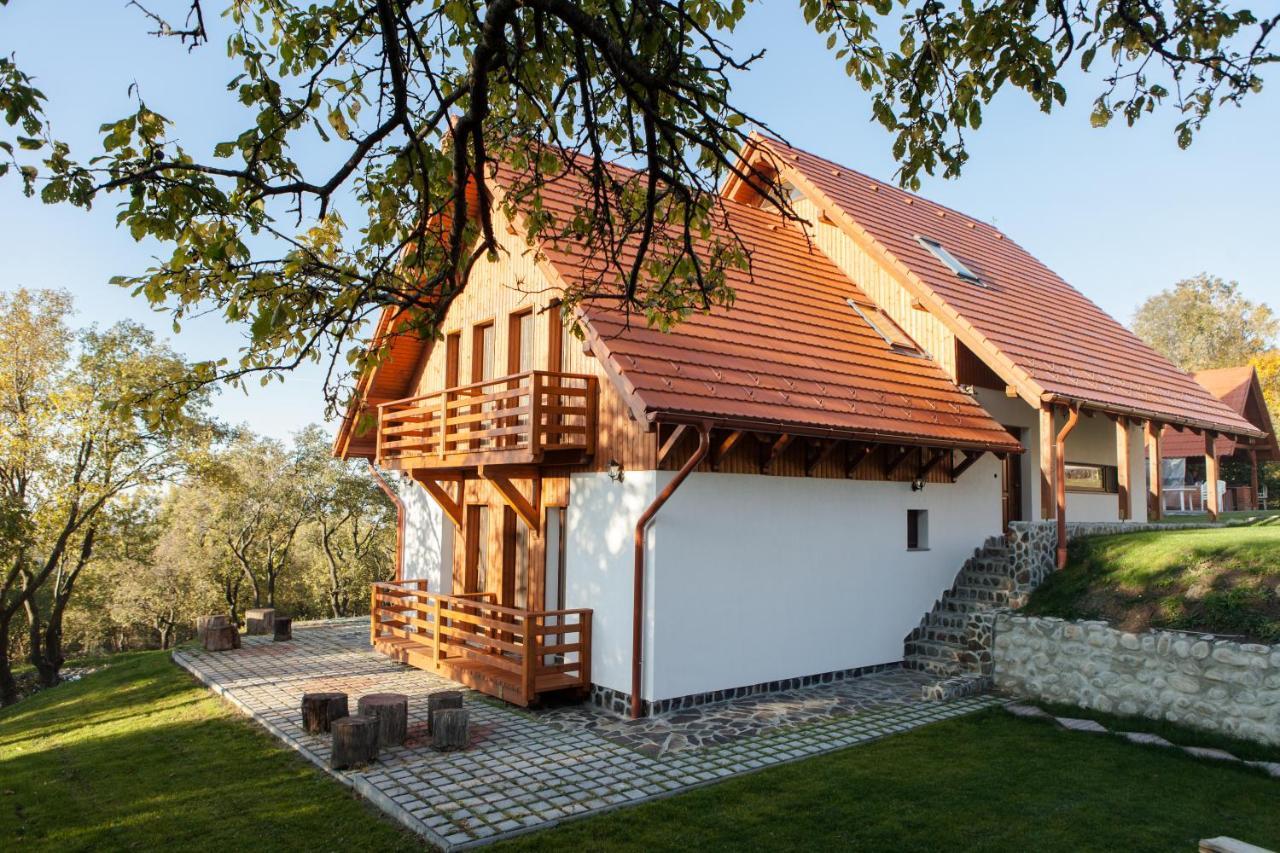 Pensiunea Szilas Panzio Păuleni Exterior foto