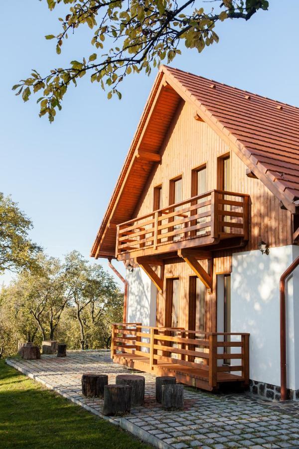 Pensiunea Szilas Panzio Păuleni Exterior foto